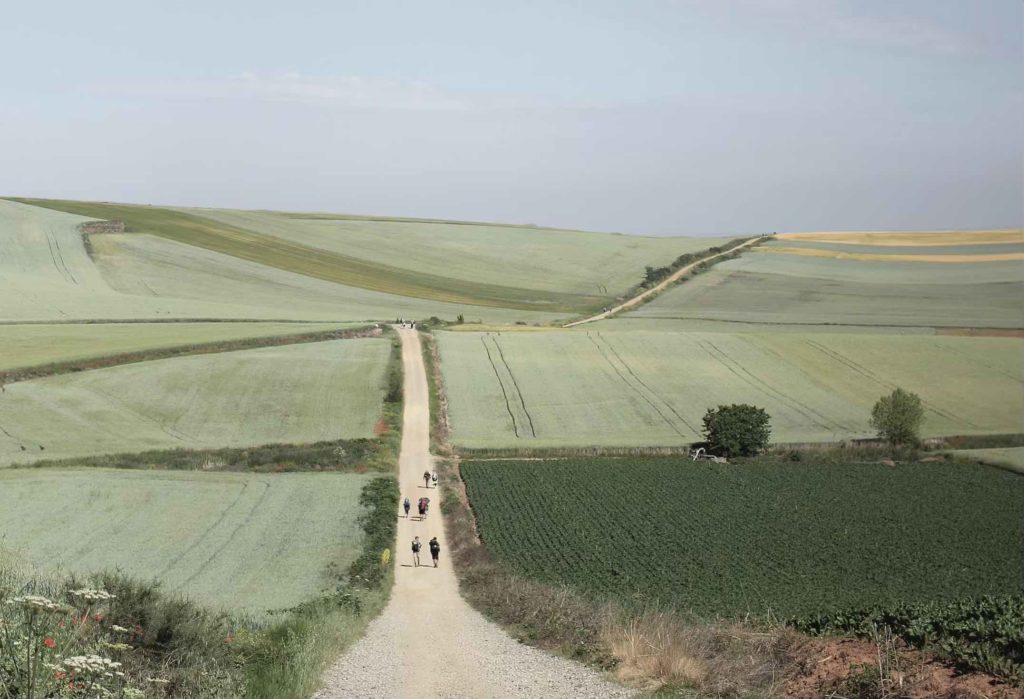 People walking along a track through the country on the Camino de Santiago